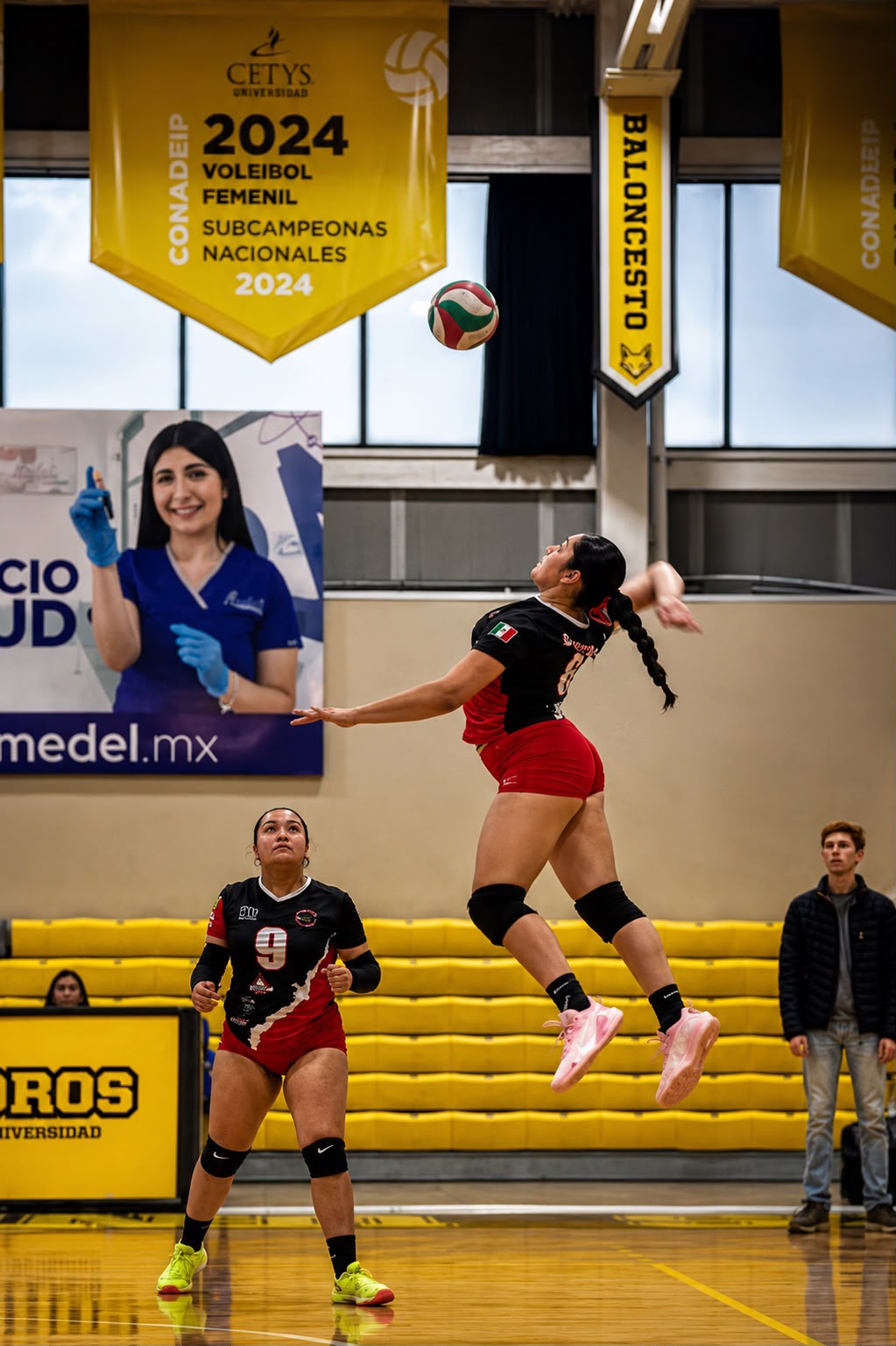 Volleyball